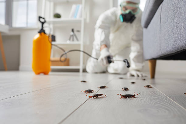 Post-Treatment Bed Bug Interceptor Monitoring in Lucedale
