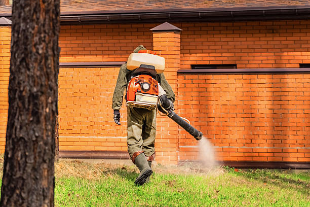 Bed Bug Clearance Verification and Documentation in Lucedale